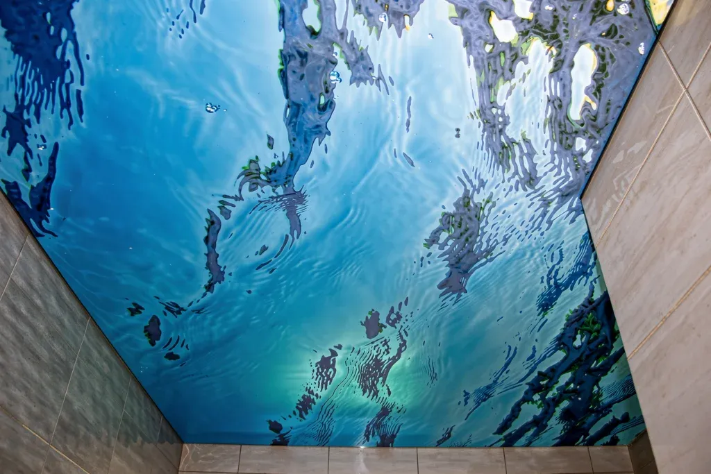 Stretch Ceiling 2